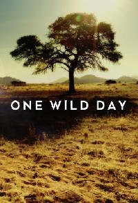 One Wild Day